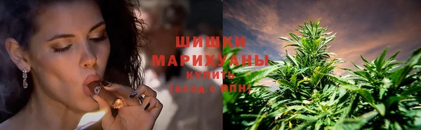 таблы Богородицк