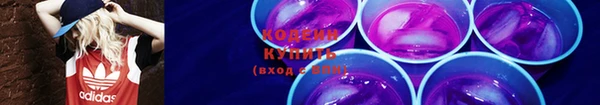 таблы Богородицк